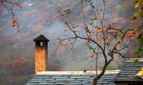 news_2018102903.jpg